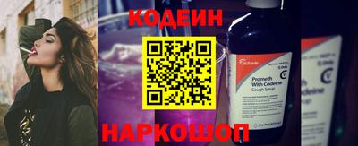 ешки Кингисепп