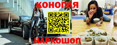 ешки Кингисепп