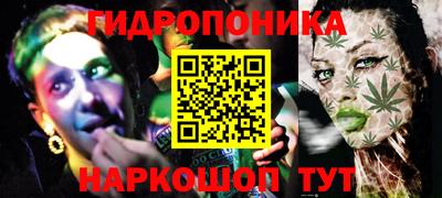 ешки Кингисепп
