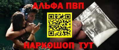 ешки Кингисепп