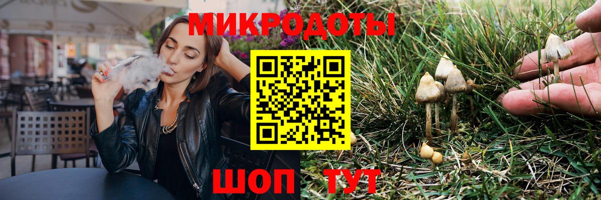 Псилоцибиновые грибы Psilocybe  Вход с VPN  Коломна 