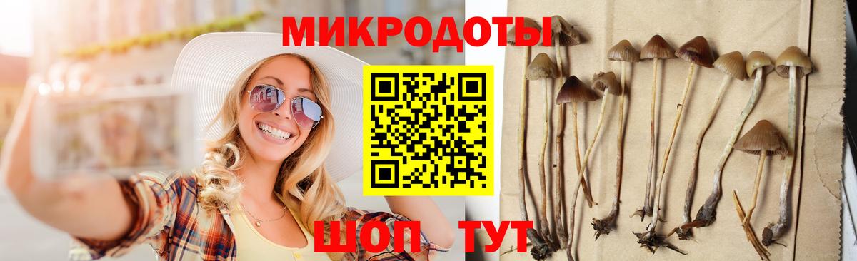 Галлюциногенные грибы GOLDEN TEACHER Коломна